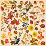 Аркуш з картинками для вирізання Autumn botanical diary 30,5x30,5см, ТМ Фабрика Декору.