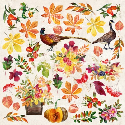 Аркуш з картинками для вирізання Botany autumn 20х20 см, ТМ Фабрика Декору