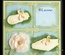 Ніж для вирубки від LeCreaDesign - Lea’bilitie® Special Occasion 2 cut & embossing die
