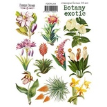 Набір наліпок (стікерів) 10 шт. Botany exotic 204, ТМ Фабрика Декору