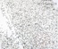 Фарба 13arts - Ayeeda Paint - White & Silver Glitter