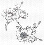 Гумовий штамп My Favorite Things - BG Magnolia Blossoms, 2 шт.