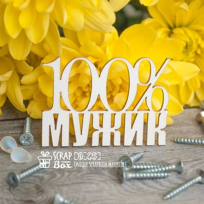 Чіпборд ScrapBox - 100% чоловік Hi-225