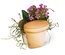 Ножі від Sizzix - Clay Pot, 3-D - Глиняний горщик
