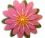 Ніж для вирубки Daisy Strip від Cheery Lynn Designs, 6 шт.
