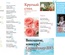 Журнал Скрап - інфо, №6 - 2012 (синтез скрапбукінгу та інших видів творчості)