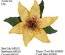 Фігурний дірокол McGill - Star Lily