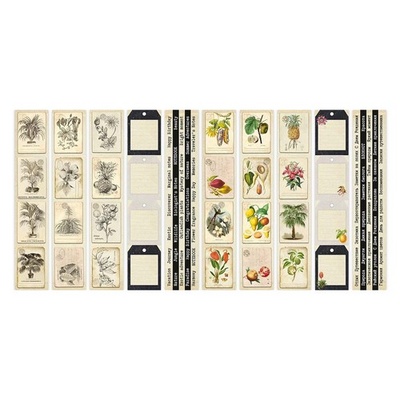 Набір смужок з картинками для декорування Botany exotic exotic 5 бл. 5x30,5см, ТМ Фабрика Декору
