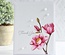 Гумовий штамп My Favorite Things - BG Magnolia Blossoms, 2 шт.
