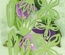 Ножі для вирубки від LeCreaDesign - Multi Die Flower 001, 8 елементів