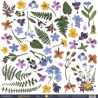 Аркуш одностороннього скрап-паперу 30x30 від Scrapmir Декор з колекції Herbarium Wild summer