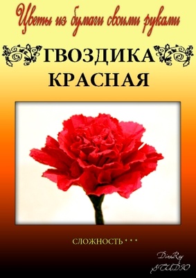 Набір паперу для виготовлення квітів - гвоздика червоного кольору