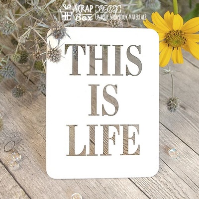 Чіпборд ScrapBox - Карточка Project Life PL-023
