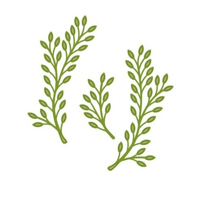 Лезвие Sue Wilson Dies - Finishing Touches Collection - Olive Branch