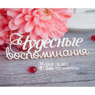 Чіпборд ScrapBox — чудовий пам' ять Hi-247