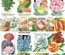 Аркуш скрап-паперу Webster's Pages - Grow With Me, двосторонній 30x30 см