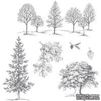 Набор резиновых штампов от Stampin&#039;Up - Lovely As A Tree Clear-Mount Stamp Set - ScrapUA.com