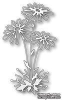 Нож для вырубки от Memory Box -  DIES- Glorious Gerber Daisies - ScrapUA.com