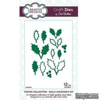 Лезвие Sue Wilson - Festive Collection - Holly Accessory Kit