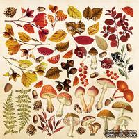 Лист для вырезания Botany autumn, ТМ Фабрика Декору - ScrapUA.com