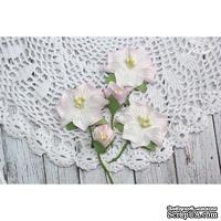 Набор цветов TM Iris - Blossom Розовые, 5 шт - ScrapUA.com