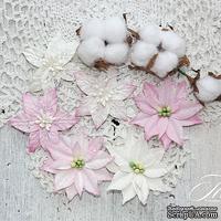 Набор цветов TM Iris - Cortez Pink and white, 9 шт - ScrapUA.com