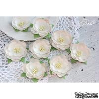 Набор цветов TM Iris - Dessert Нежный беж, цвет бежевый, 35-45 мм, 8 шт - ScrapUA.com