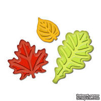 Лезвия от Spellbinders - Fall Leaves Punch Templates for Presto Punch - Осенние листья, 3 шт - ScrapUA.com