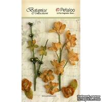 Набор объемных цветов Petaloo - FloralEphemera - Amber - ScrapUA.com