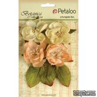 Набор объемных цветов Petaloo - Botanica Blooms x4 - Peach - ScrapUA.com