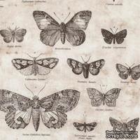 Ткань 100% хлопок - Tim Holtz Eclectic - Butterflies-Taupe, 45х55 см - ScrapUA.com