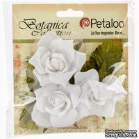 Набор цветов Petaloo - Botanica Fairy Roses - White - ScrapUA.com