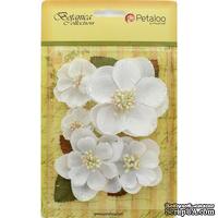 Набор цветов Petaloo - Botanica Magnolia Mix - White - ScrapUA.com