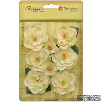 Набор цветов Petaloo - Botanica Ranunculus - Ivory - ScrapUA.com