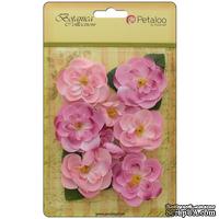 Набор цветов Petaloo - Botanica Ranunculus - Soft Pink - ScrapUA.com