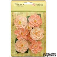 Набор цветов Petaloo - Botanica Ranunculus - Peach - ScrapUA.com