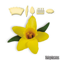 Ножи от Spellbinders - DAFFODIL - ScrapUA.com