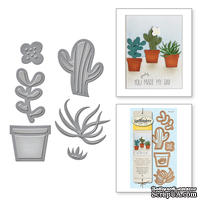 Нож для вырубки от Spellbinders - Succulent Garden - ScrapUA.com