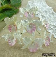 Орхидеи, цвет белый с розовым, 33х40мм, 5 шт. - ScrapUA.com