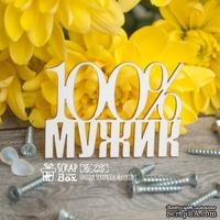 Чипборд ScrapBox - 100% мужик Hi-225