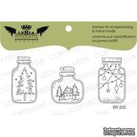 Акриловый штамп Lesia Zgharda SR202 Stamp Set Winter in jar, 3 шт., размер набора 10х10 см - ScrapUA.com