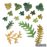 Ножи от Sizzix - Sizzix Thinlits Die Set 12PK - Leaves, Fern & Ivy