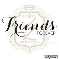 Акриловый штамп Lesia Zgharda TA029 FRIENDS FOREVER, 8.0х3.9 см. - ScrapUA.com