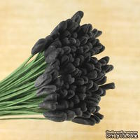 Тычинки тюльпана на проволоке, цвет черный, 5 шт.
