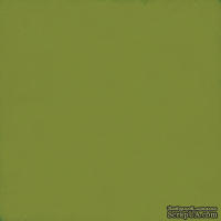 Лист скрапбумаги от Echo Park - Green / Silver, 30х30 см - ScrapUA.com