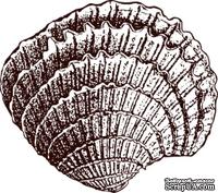 Акриловый штамп Stamp Shell 5 Ракушка, размер 2,2 * 1,9 см