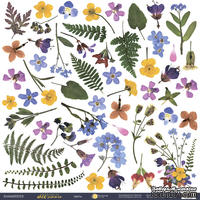 Лист односторонней бумаги 30x30 от Scrapmir Декор из коллекции Herbarium Wild summer - ScrapUA.com