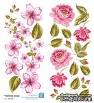 Набор картинок от Евгения Курдибановская ТМ - Чайная роза, розовый, 2 листа 9х20 см - ScrapUA.com