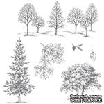 Набор резиновых штампов от Stampin&#039;Up - Lovely As A Tree Clear-Mount Stamp Set - ScrapUA.com