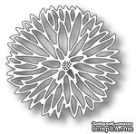 Лезвие от Memory Box - Prized Chrysanthemum Outline - ScrapUA.com